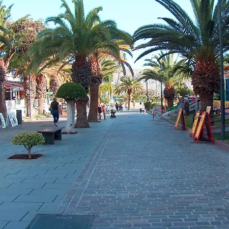 Appartamento & In Cristianos Los Cristianos (Tenerife)